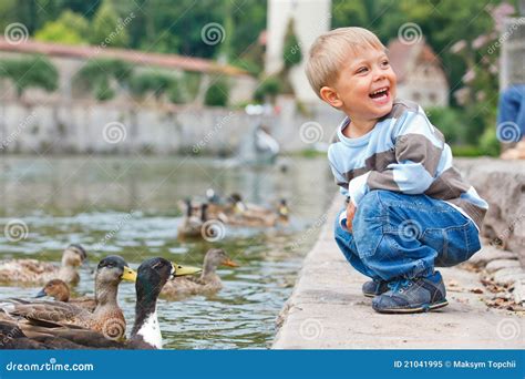Cute Little Boy Feeding Ducks Stock Image Image Of Emotion Bird