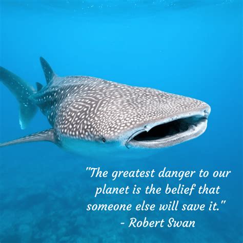 11 Inspiring Quotes Thatll Make You Want To Protect The Ocean