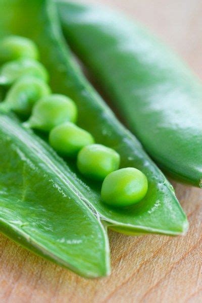 How To Grow Sugar Snap Peas And Snow Peas The Perfect Spring Crop