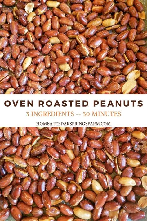 Oven Roasted Peanuts 3 Ingredients Home At Cedar Springs Farm