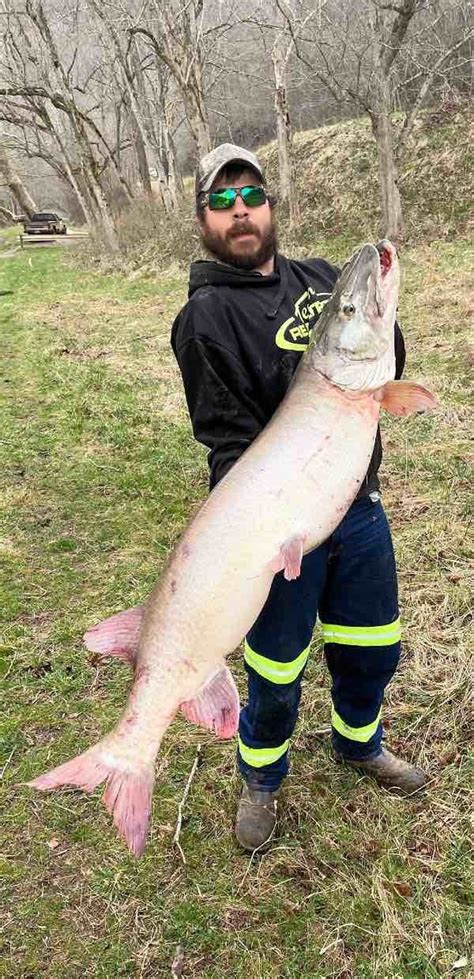 New West Virginia State Record Muskie — Caught Grand View Outdoors