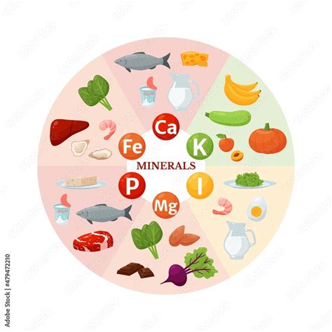 Obraz Food Sources Of Vitamins And Minerals Iron Calcium Potassium
