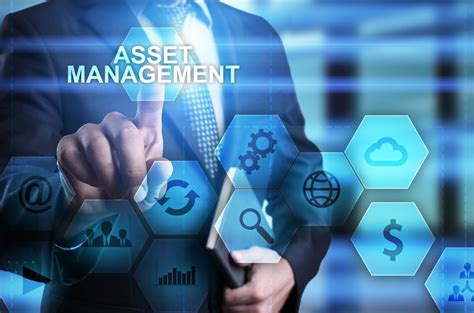 How Does Asset Management Software Help Your Business Techpatio