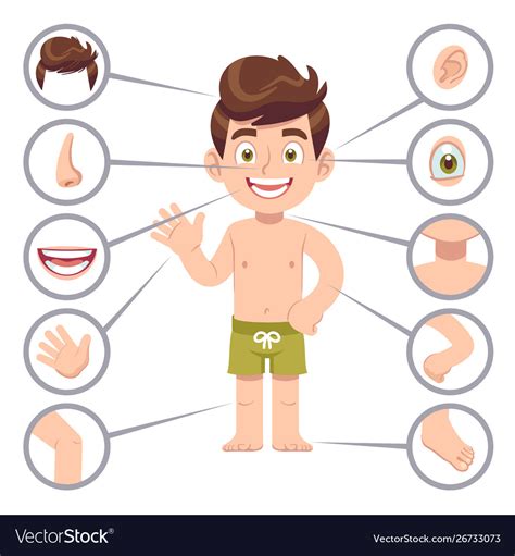 Kid Body Parts Human Child Boy With Eye Nose And Vector Image