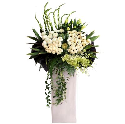 We did not find results for: 25 Heartfelt Sympathy and Condolence Messages for Loss of ...