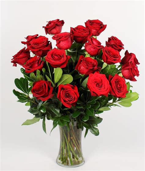 18 Red Long Stemmed Red Roses By Iron Violets Design Studio