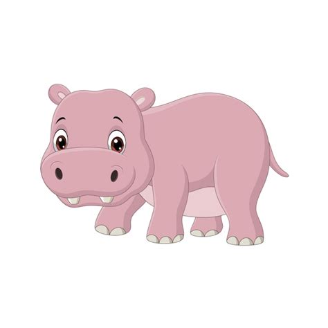 Premium Vector Cute Baby Hippo On White