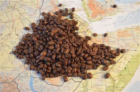 What Is Ethiopian Coffee Ethiopia Coffee Beans And History