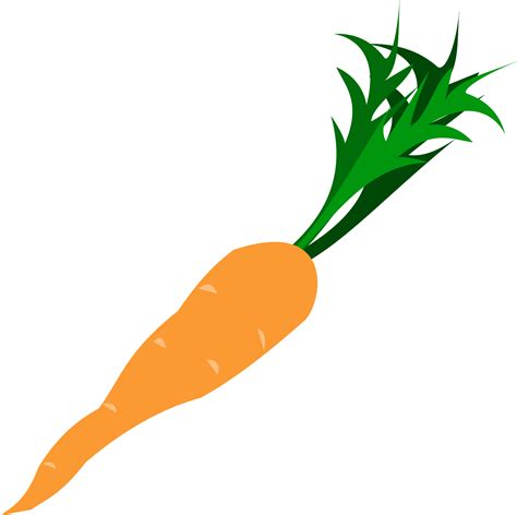 Cartoon Carrot