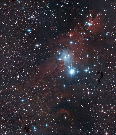 Ngc 2264 The Christmas Tree Clustercone Nebula Rastrophotography