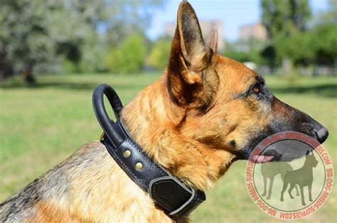 Dog Collar German Shepherd Breed Control Handle