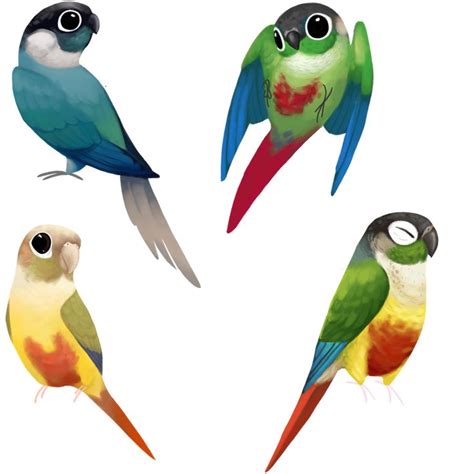 Green Cheek Conures Sticker By All The Birds White Background 3x3
