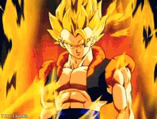Ok i have a question since im trying to watch all episodes of dragon ball z gt or kai where and what is the website i can watch it from? Mi opinion sobre gogeta la fusion de goku y vegeta ...