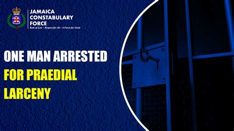 One Man Arrested For Predial Larceny Jamaica Constabulary Force