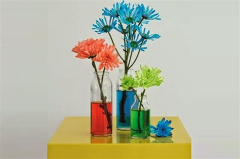 Como Crear Flores Naturales De Tu Color Favorito Ingeniando
