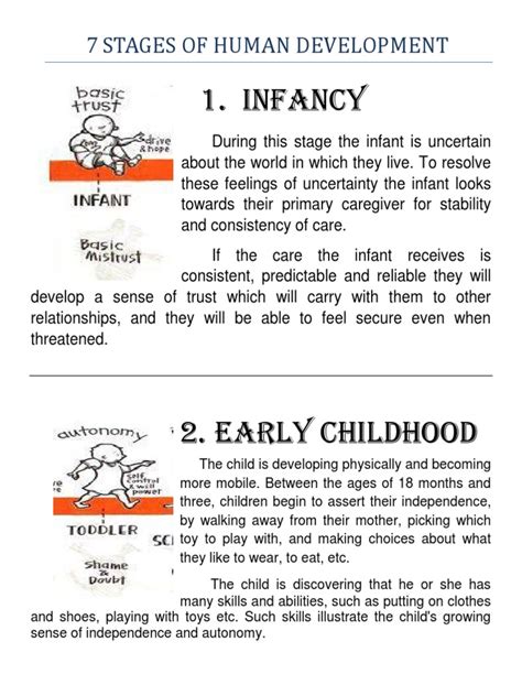 7 Stages Of Human Development Adolescence Developmental Psychology