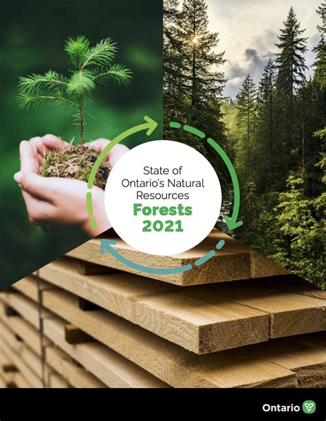 Report Calls Forest Resources Well Maintained And Resilient Ontario