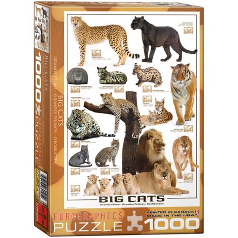 Buy Eurographics Big Cats Puzzle 1000pc