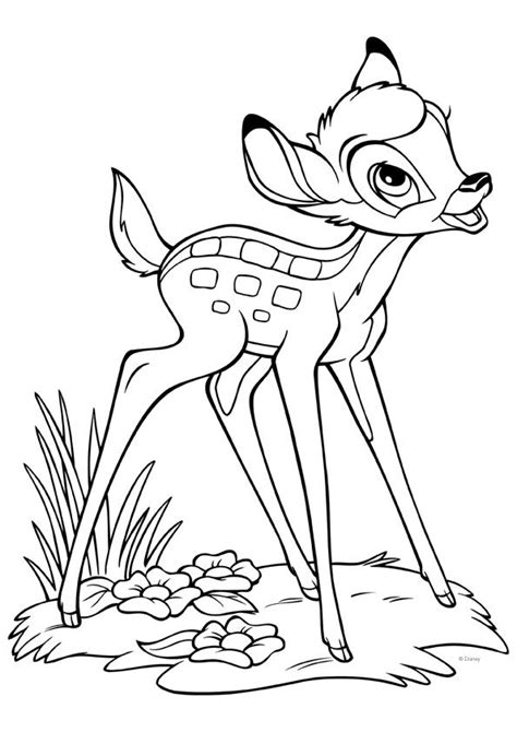 Bambi Coloring Pages 14 Printable Bambi Coloring Page