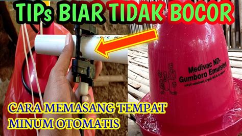 Cara Memasang Tempat Minum Otomatis Trading Kandang Youtube