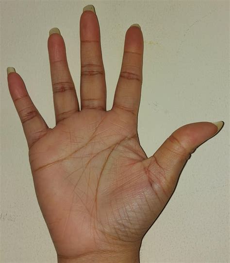 Here Is My Left Hand Palmistry