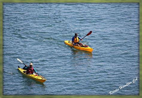 Summer Funlots Of Beach Activities In Southern California