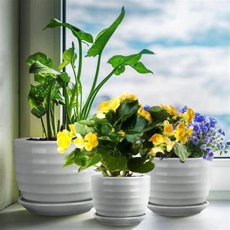 Best Flower Pots That Enhances Your Indoor House