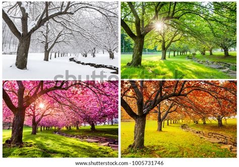 2175 Cycle Four Seasons Images Stock Photos And Vectors Shutterstock