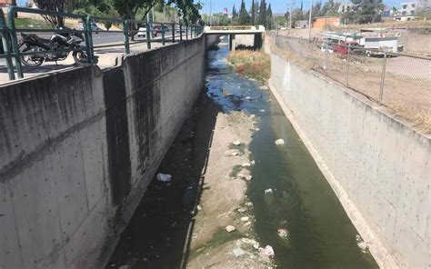 Obstruye Maleza Y Basura Canal De Aguas Negras En La Washington Local Noticias Aguas Negras