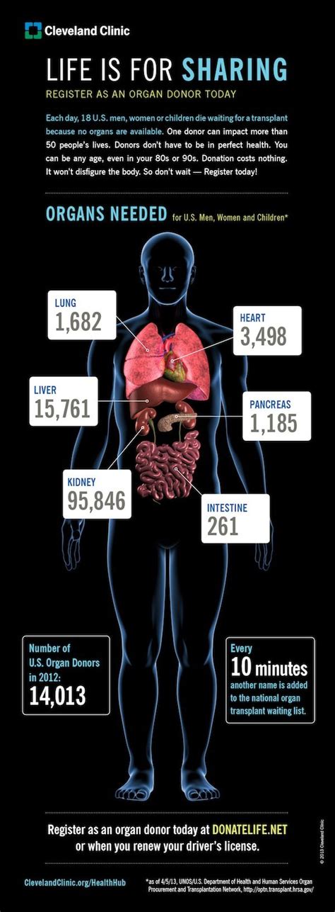 We did not find results for: Why Donate Organs? Because You'll Save Many Lives ...