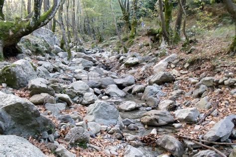 Αγιον οροσ η μονη γερων ιωσηφ βατοπαιδινοσ. Με τον ΦΟΠ στα βουνα: ΔΙΡΦΥΣ