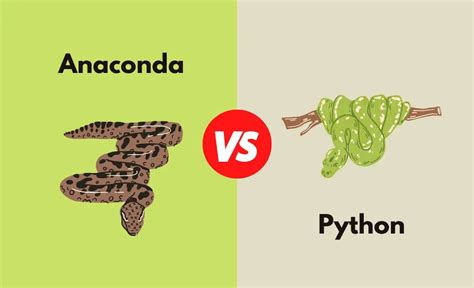 Anaconda Vs Python Whats The Difference With Table