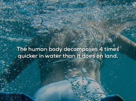 22 Creepy Facts That Will Chill You To The Bone Creepy Gallery Ebaums World