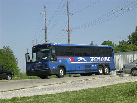 Greyhound Greyhound Bus Bus City Bus Coach
