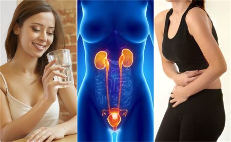 Recomendaciones Para Evitar Infecciones Urinarias Infeccion De Vias Urinarias Urinarios