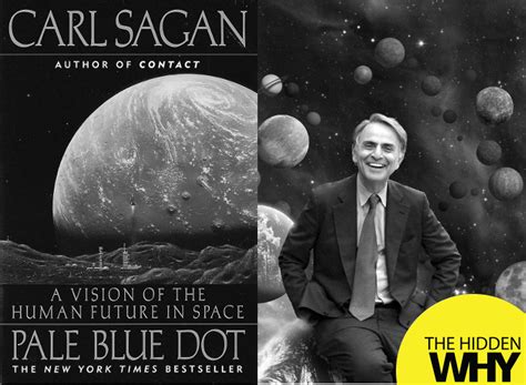 Book Reflection Pale Blue Dot A Vision Of The Human Future In