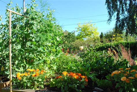 The Secrets Of Companion Planting — Seattle's Favorite Garden Store ...
