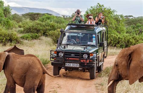 Träumen sie von einer reise nach afrika? Luxuriöse Safari-Reise durch Botswana - Das ursprüngliche ...