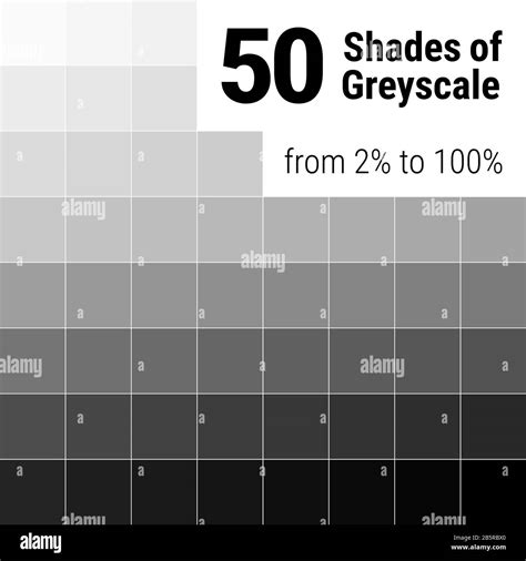 Greyscale Palette 50 Shades Of Grey Grey Colors Palette Color Shade Chart Illustration Stock