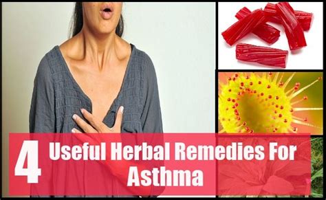 4 Highly Useful Herbal Remedies For Asthma Herbal Remedies Herbalism