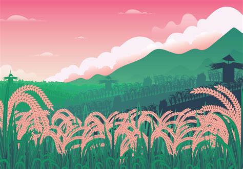 Free Rice Field Illustration 128804 Vector Art At Vecteezy