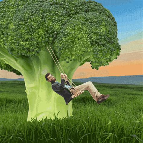 I otherwise found this to be the perfect amount) and toss it. Vegetables GIFs - Find & Share on GIPHY