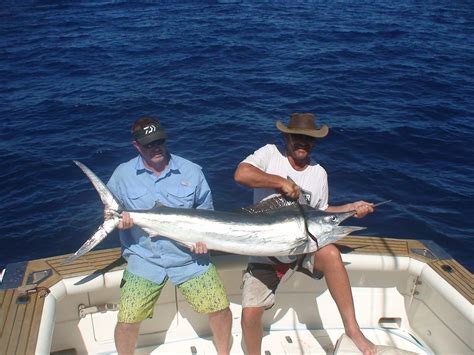 About Marlin Fishing Australia Adrenaline Charters