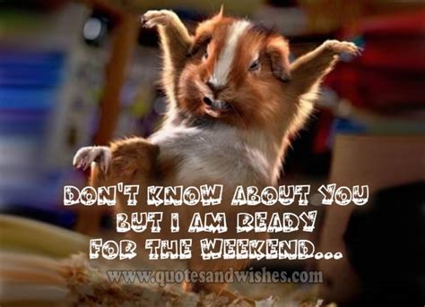 You're free to do whatever you want on saturdays, but what matters most is that you enjoy your time. Funny Weekend Quotes Happy. QuotesGram