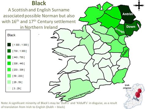 Surnames can vary in meanings from location based surnames to surnames that are character or occupation descriptions. Black | Irish Origenes: Use Family Tree DNA to Discover ...