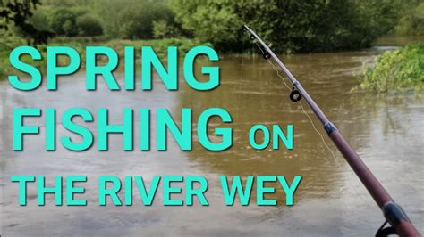 Spring Fishing On The River Wey Youtube