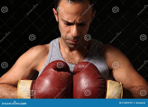 Determined Boxer Stock Image Image Of Forward Courage 21894797
