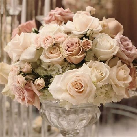Stunning Nude Colored Roses Article On Thursd