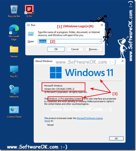 Windows 11 Installation And Upgrade New Operating System