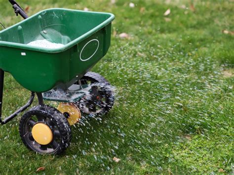 Tips On Feeding Lawns How And When To Put Fertilizer On Lawn